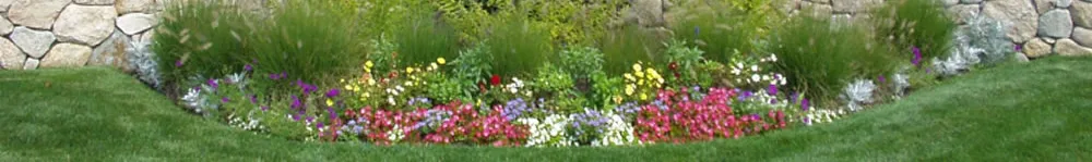 Flower bed in front of a fieldstone wall and green lawn